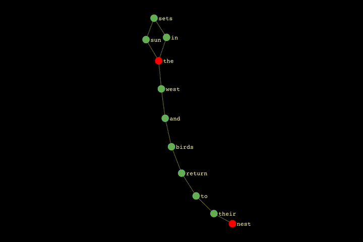 Network Graph